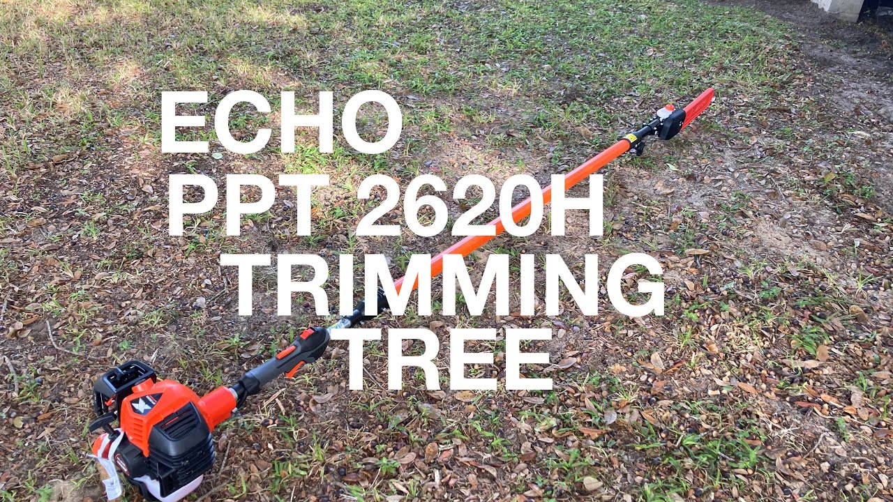 ECHO PPT 2620H TRIMMING TREE