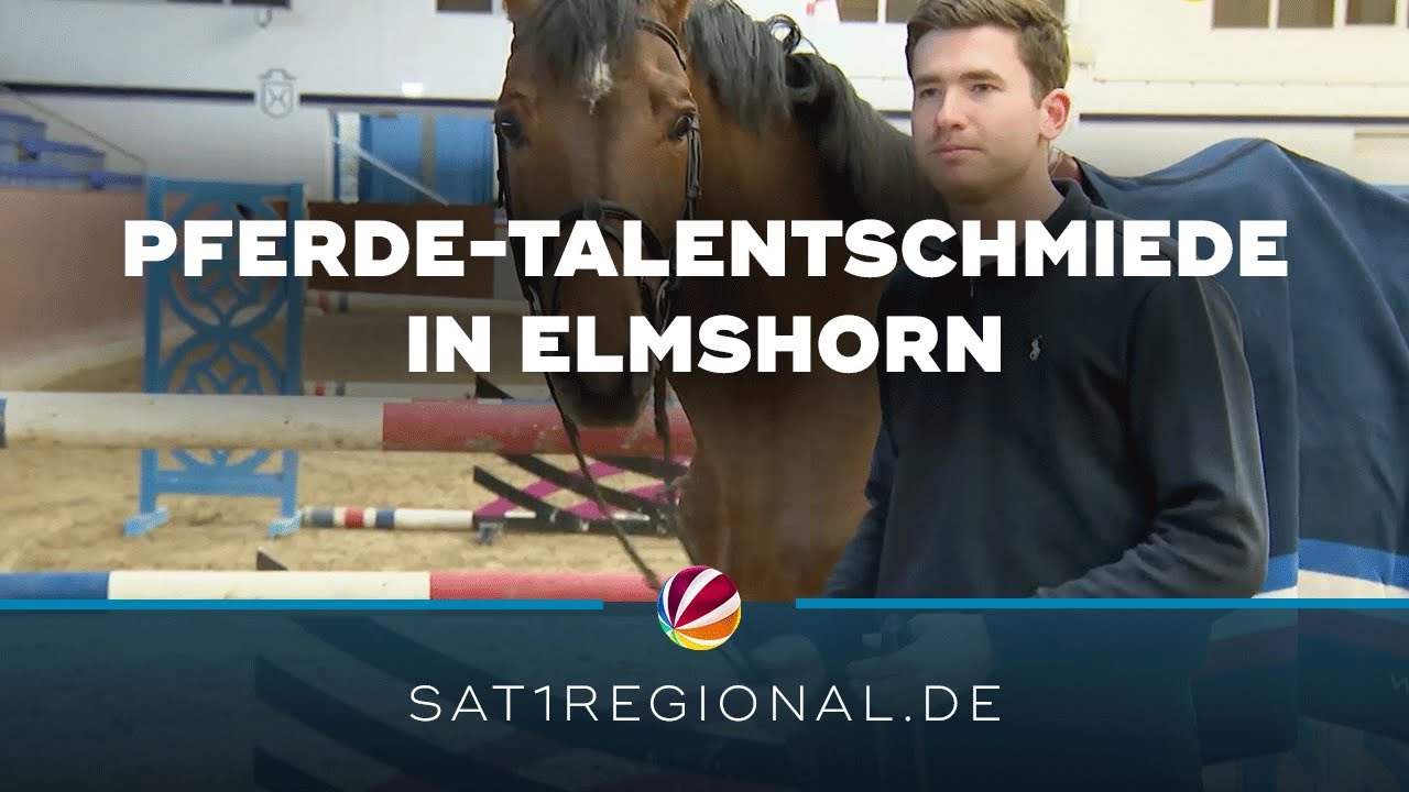 Talentschmiede für Reit- und Zuchtpferde – der Holsteiner Verband in Elmshorn