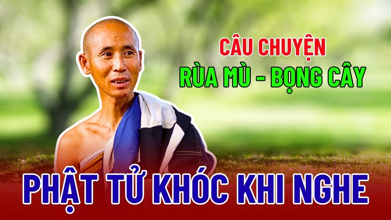 Câu chuyện RÙA MÙ – BỌNG CÂY qua lời Sư Minh Tuệ khiến ai cũng CÚI ĐẦU THÁN PHỤC