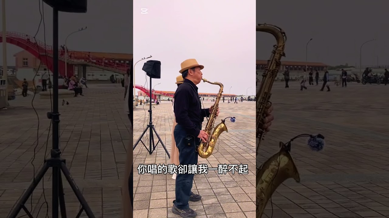 可可托海的牧羊人～薩克斯風演奏（原唱：王琪）