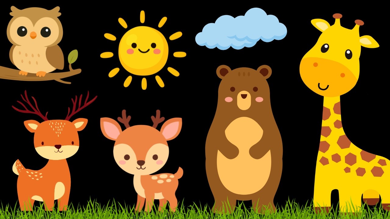 Baby Sensory Video with Calm Baby Music | Sensory Videos for Babies - Visual Stimulation for Newborn