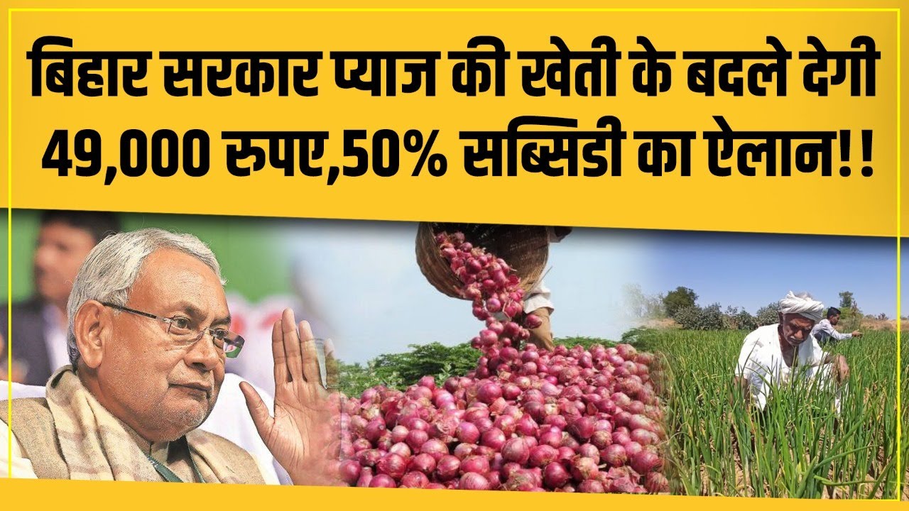 Bihar में अब Onion Farming पर मिलेगा 50% Subsidy,सीधे 49,000 का होगा फायदा!