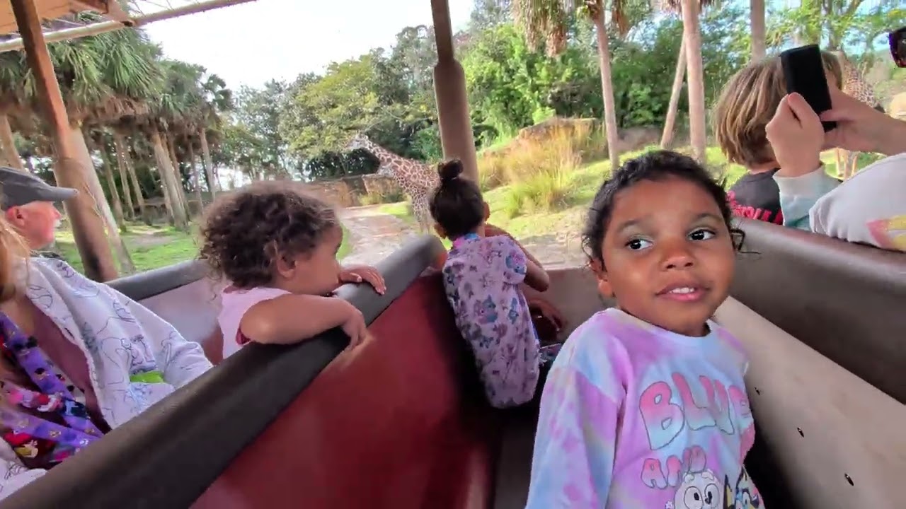 Disney's Animal Kingdom Africa Safari 