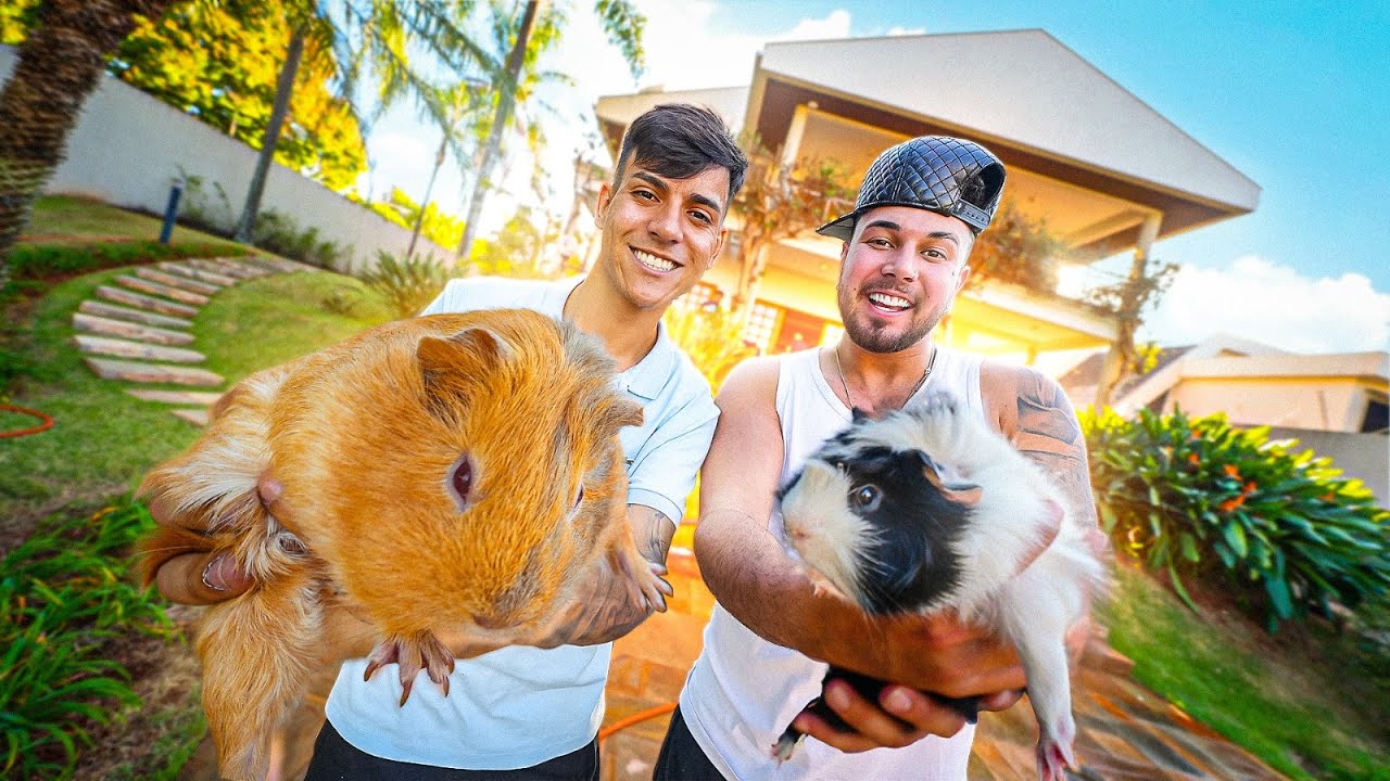 OS NOVOS MASCOTES DA CASA NOVA