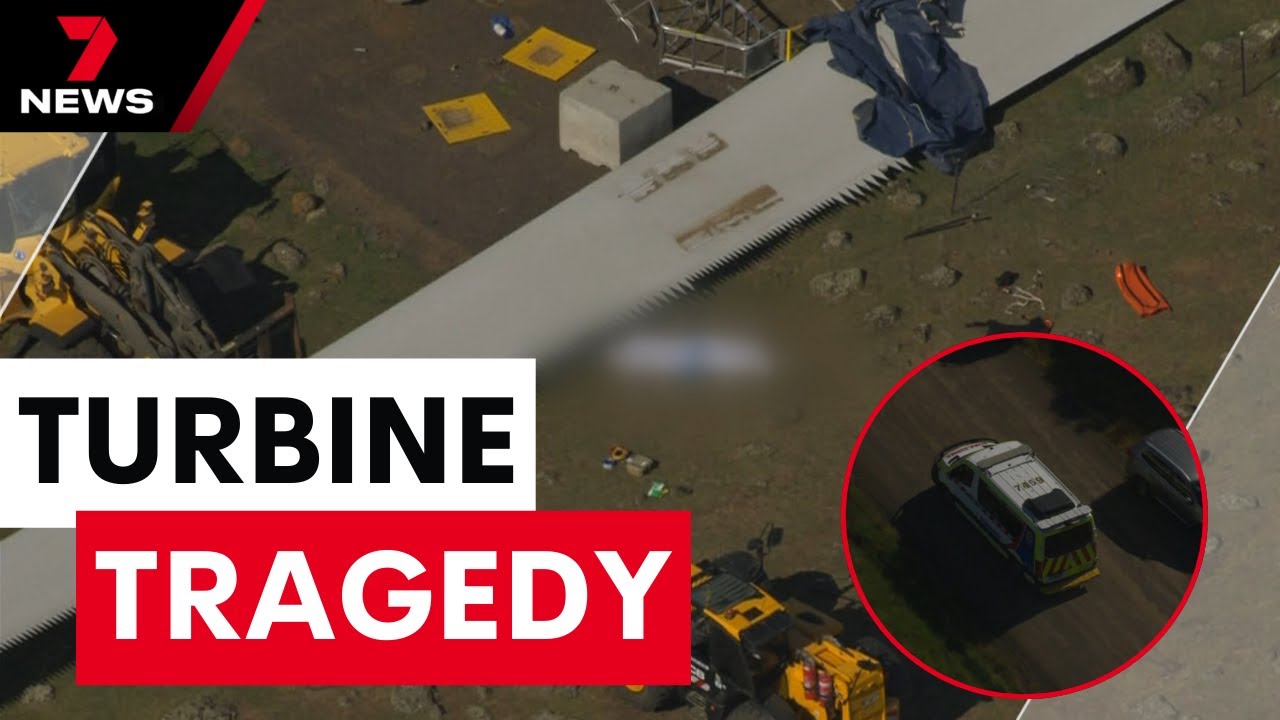 Anger after turbine fatality on Victorian wind farm | 7NEWS