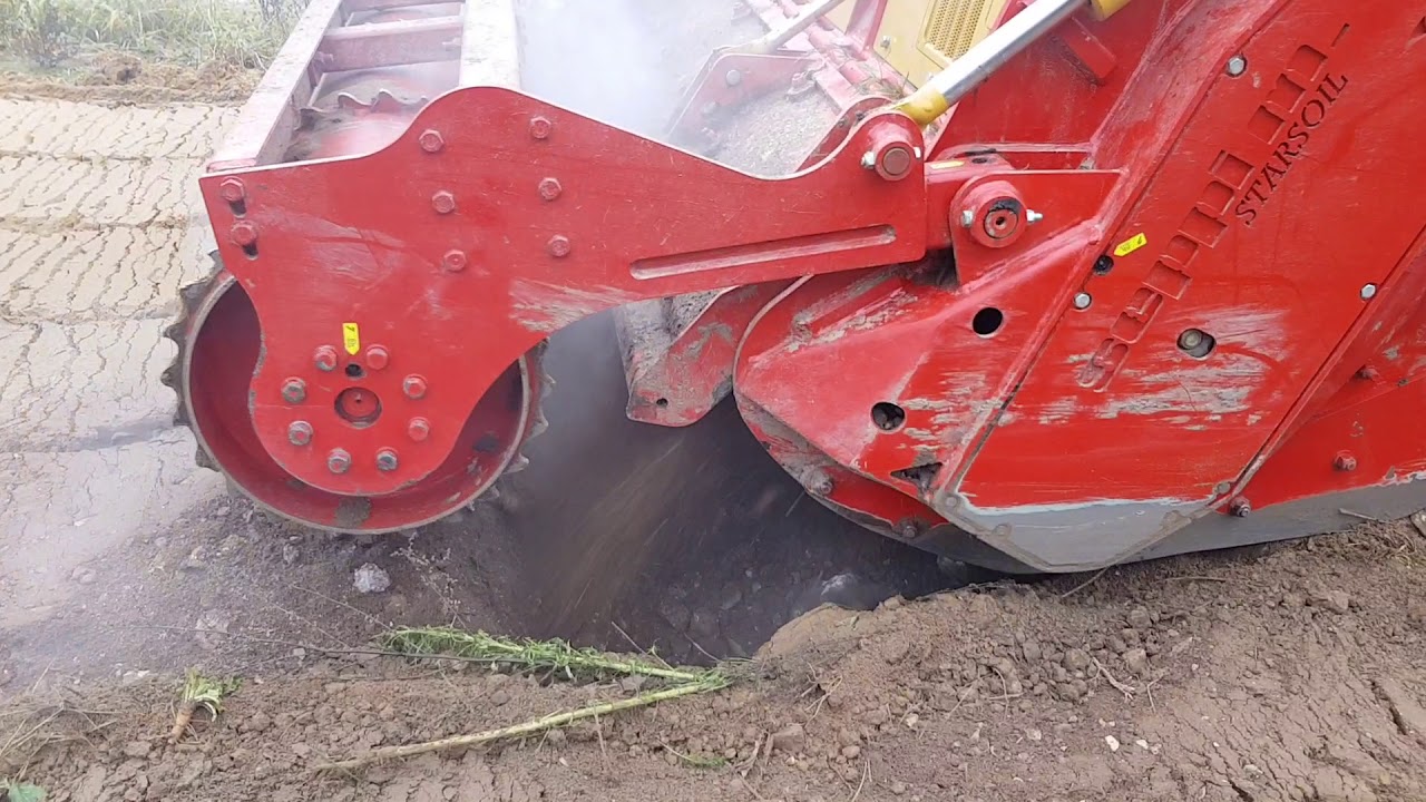 SEPPI M STARSOIL 250