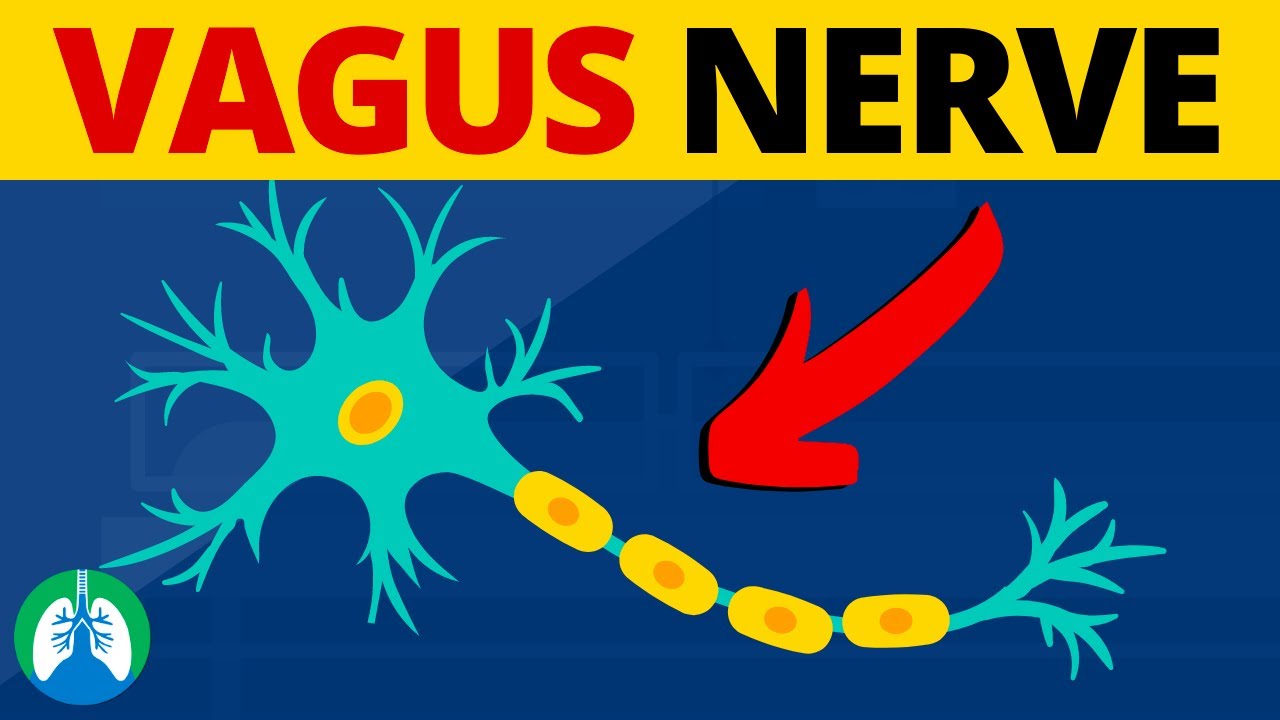 Vagusnervstimulation | Nebenwirkungen beim Absaugen