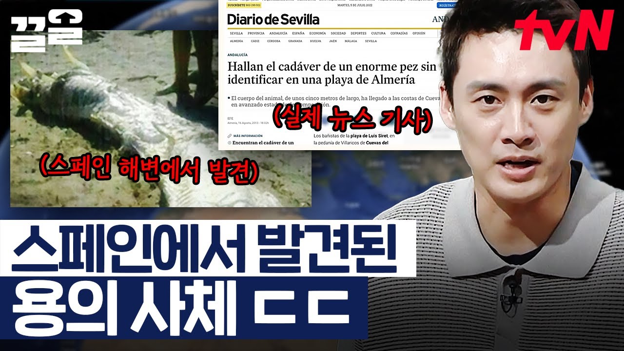 ※실제 상황※ 스페인에서 발견한 용의 사체 ㄷㄷ 길이 4m, 은빛 몸통, 머리에 달린 뿔까지? | 프리한19