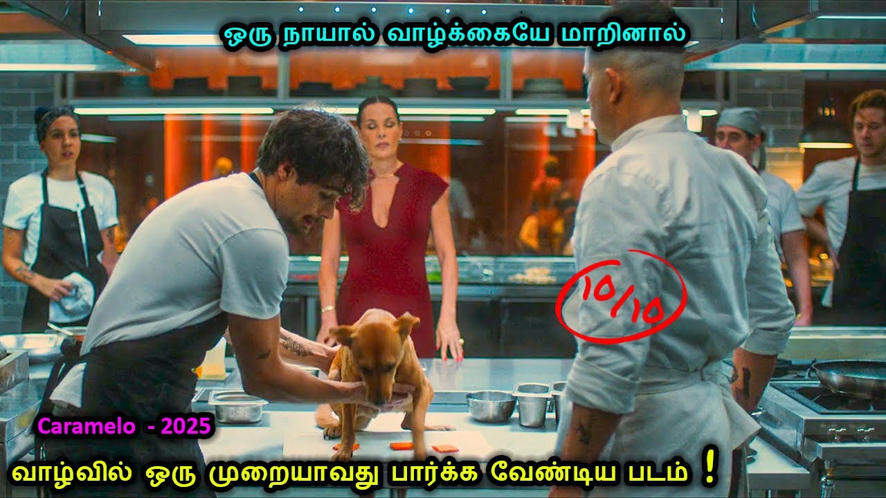 ஒரு நாயால் வாழ்க்கையே மாறினால்! | Tamil Recap | Movie Tamil Review