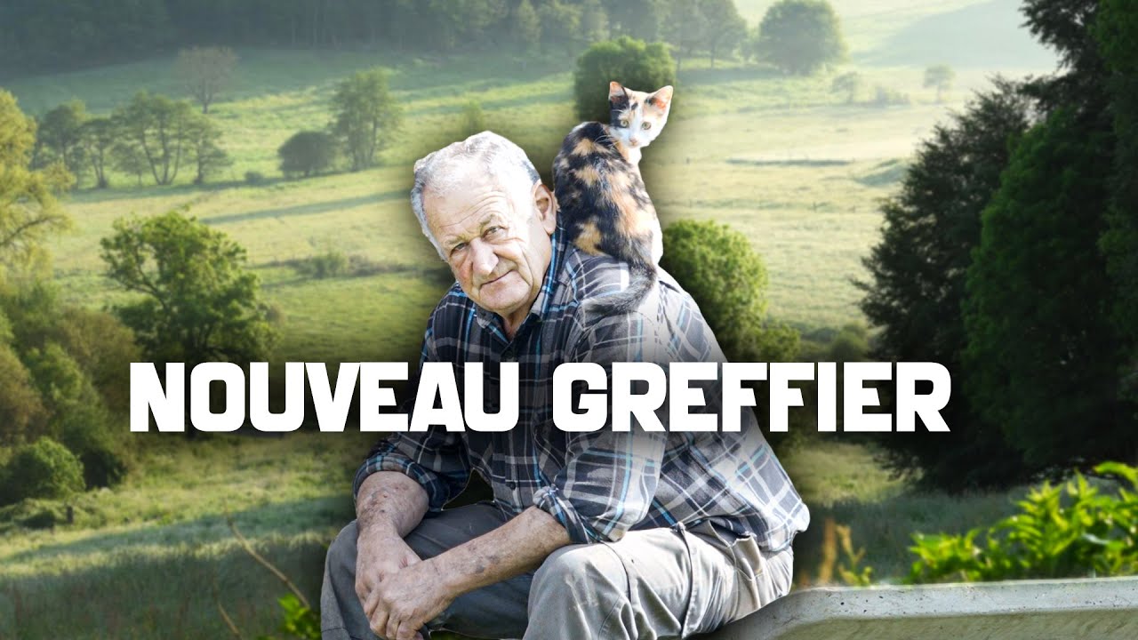 Un chaton pour les souris