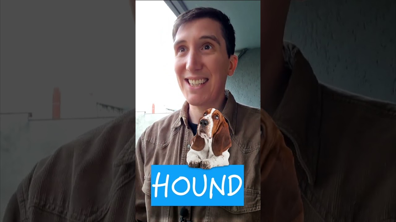 The dog mystery.