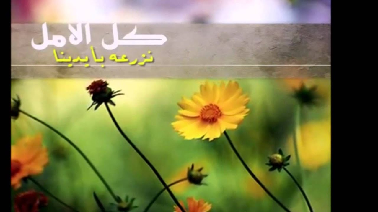 بدايه العام الدراسي