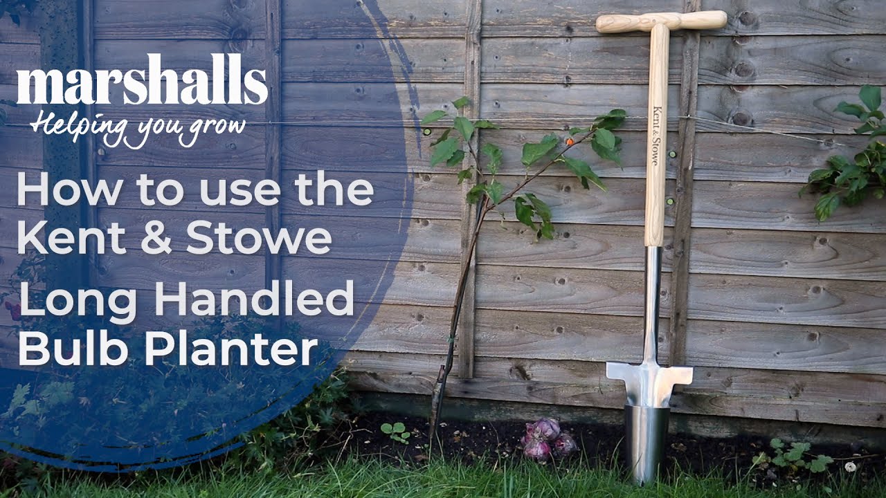 Long Handled Bulb Planter by Kent and Stowe
