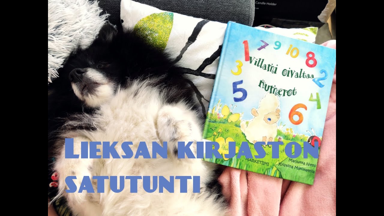 Satutunti: Villami oivaltaa numerot