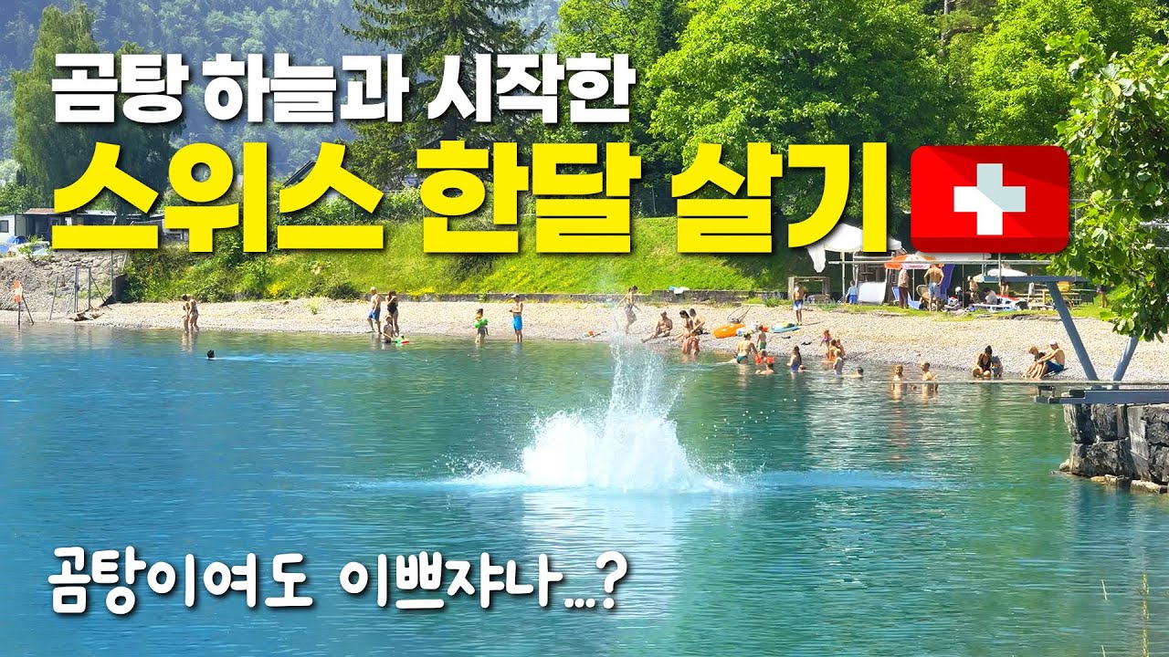 🇨🇭초여름, 6월의 스위스🩵 한가로운 스위스산책(인터라켄, 브리엔츠) | 곰탕이라도 괜찮아..🥲한달살기잖아!(토닥토닥 vlog)