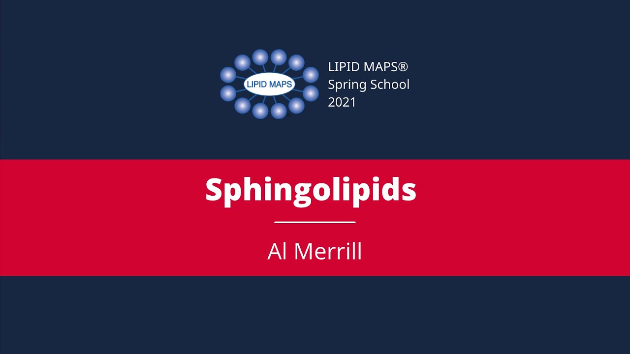 Al Merrill- Sphingolipids