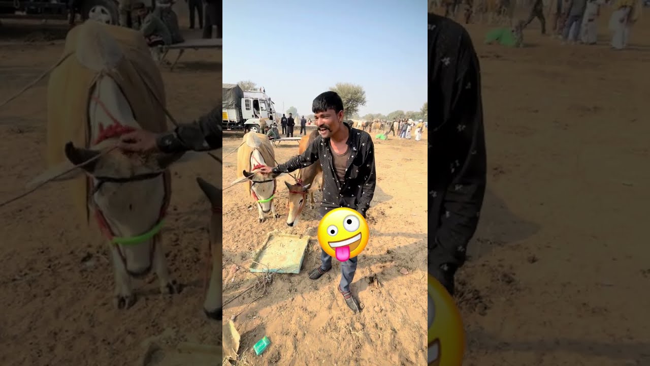 नागौर मेले में राजू की कॉमेडी पूरी देखना हँसी नहीं रुकेगी 😂