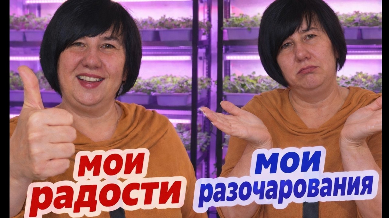 Первые посевы цветов: что взошло, а что нет из цветочной рассады 🌱