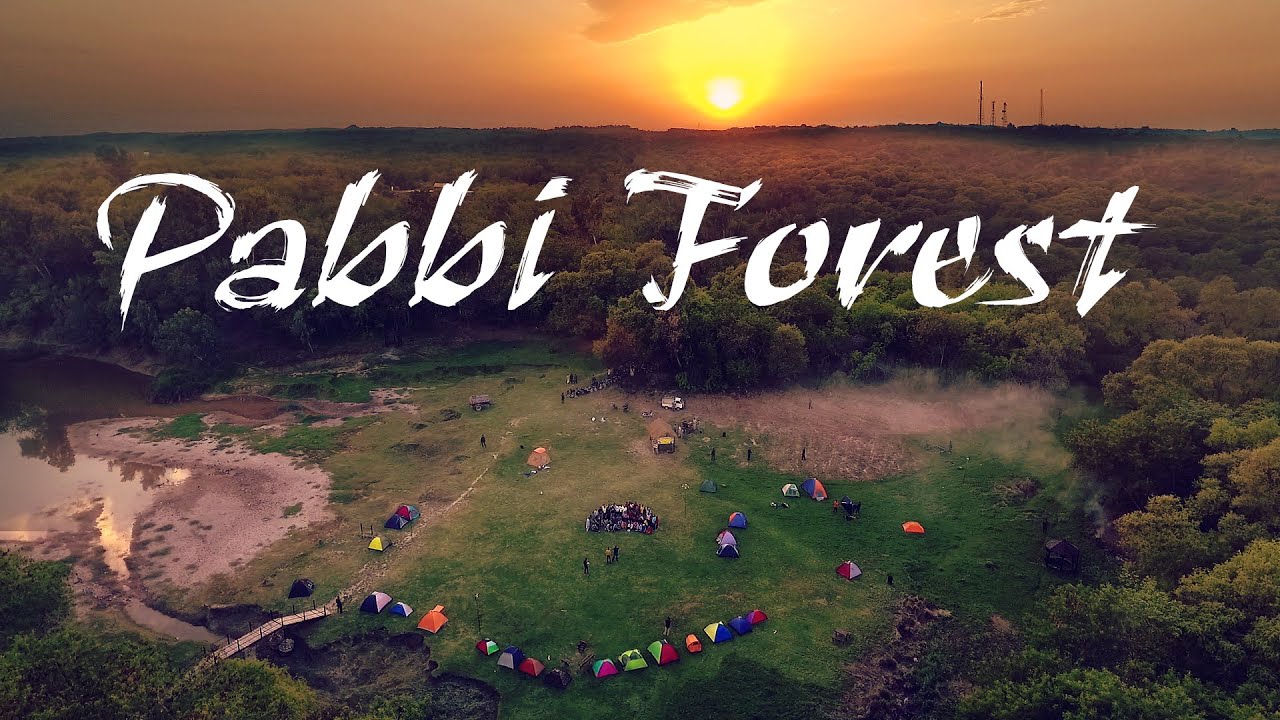 Pabbi Forest Park | Cross Route | Bike Rally and Night Gala