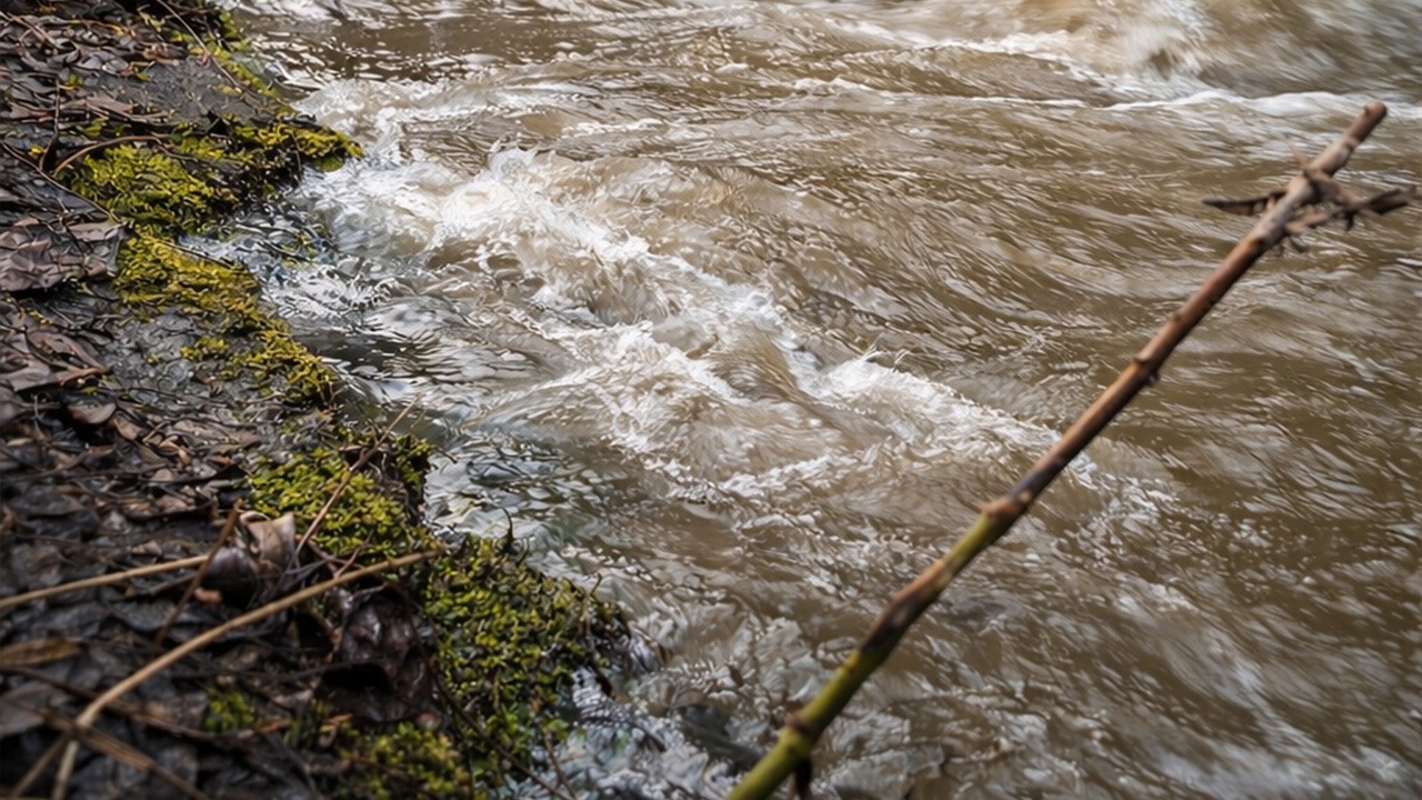 Strong Creek Sounds for Sleep & Relaxation – Powerful Flowing Water (2 Hours, 4K)