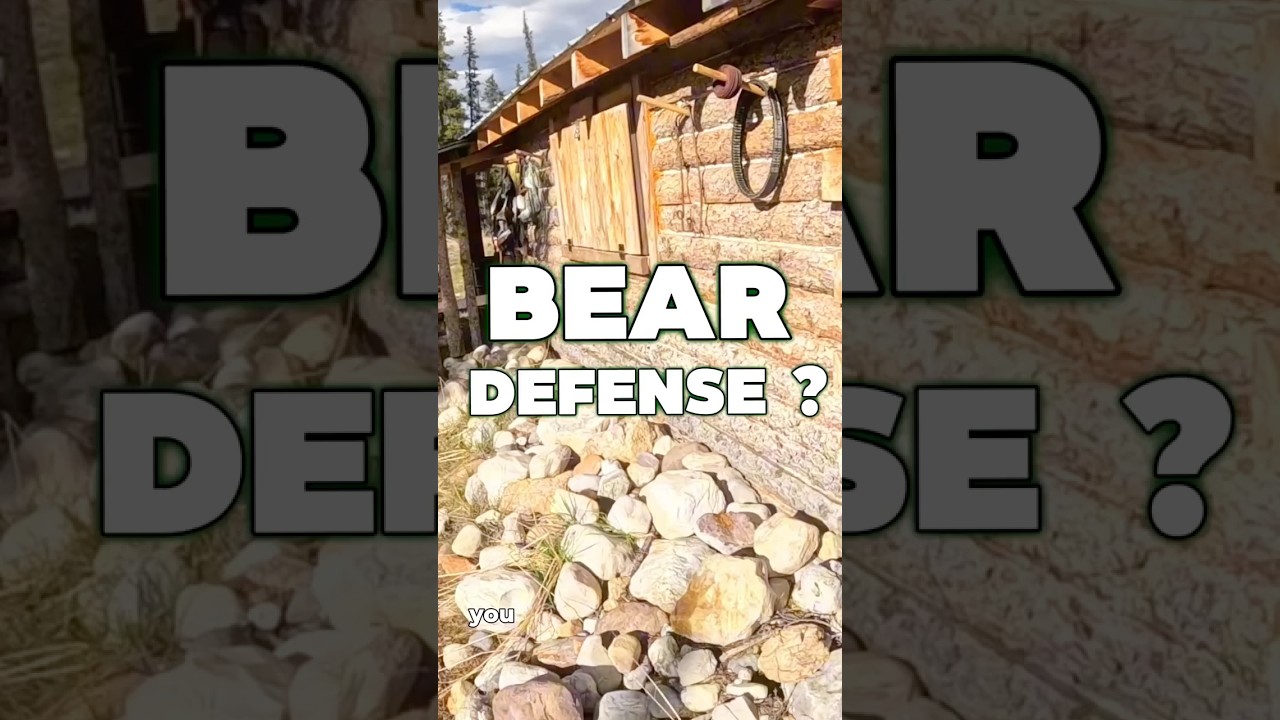 Bear Defense at a Wilderness Cabin in Northern BC