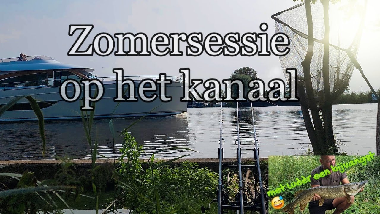 Instant karpervissen in de zomer op het kanaal!