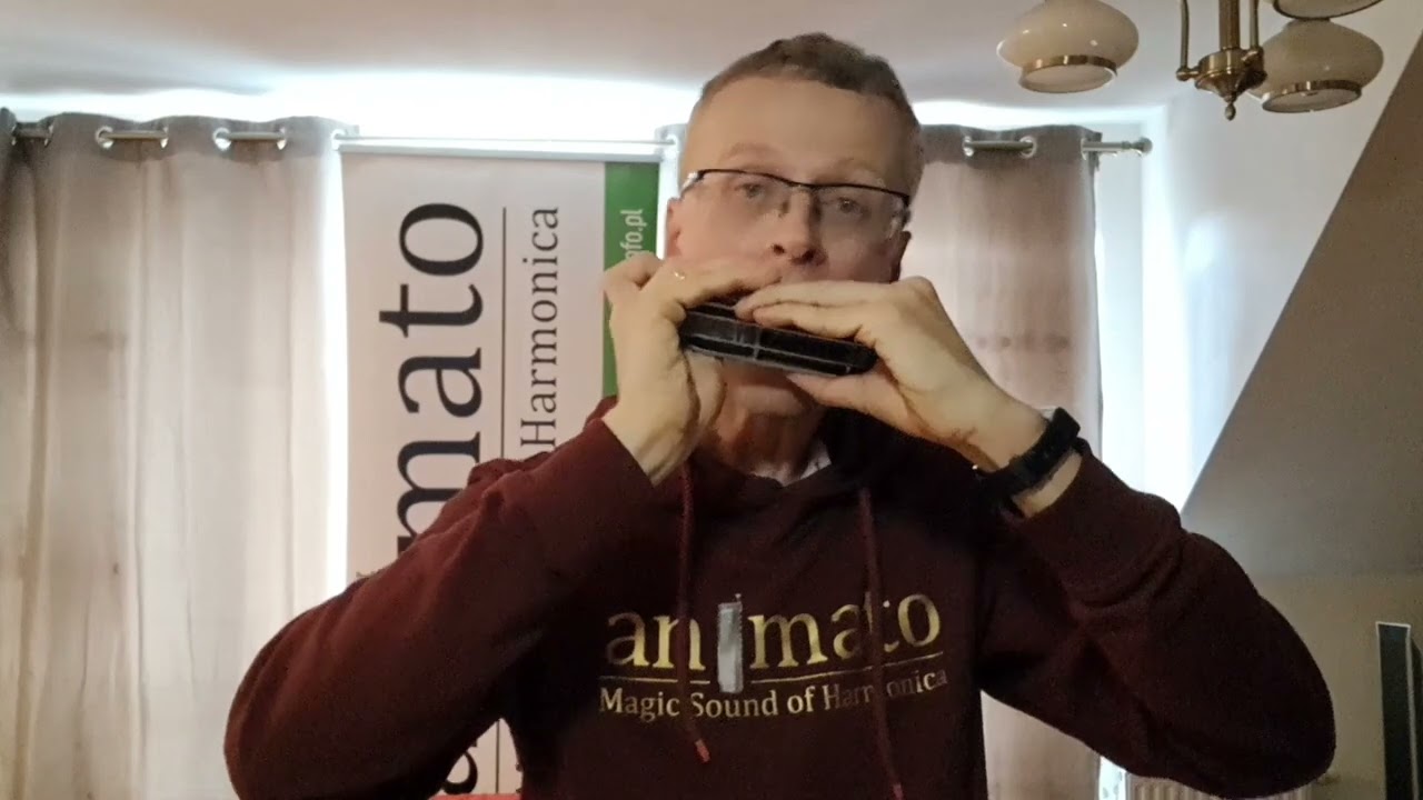 Myroslaw Skoryk - Melodia, wykonanie na harmonijce chromatycznej
