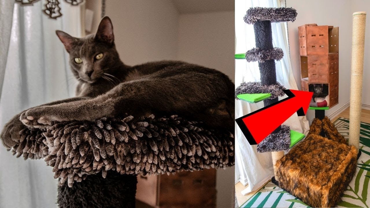 How To Make a Scratching Post Tower That's Fun and Durable