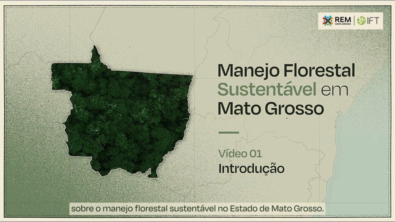 REM MT | SÉRIE: Manejo Florestal Sustentável - Vídeo 01