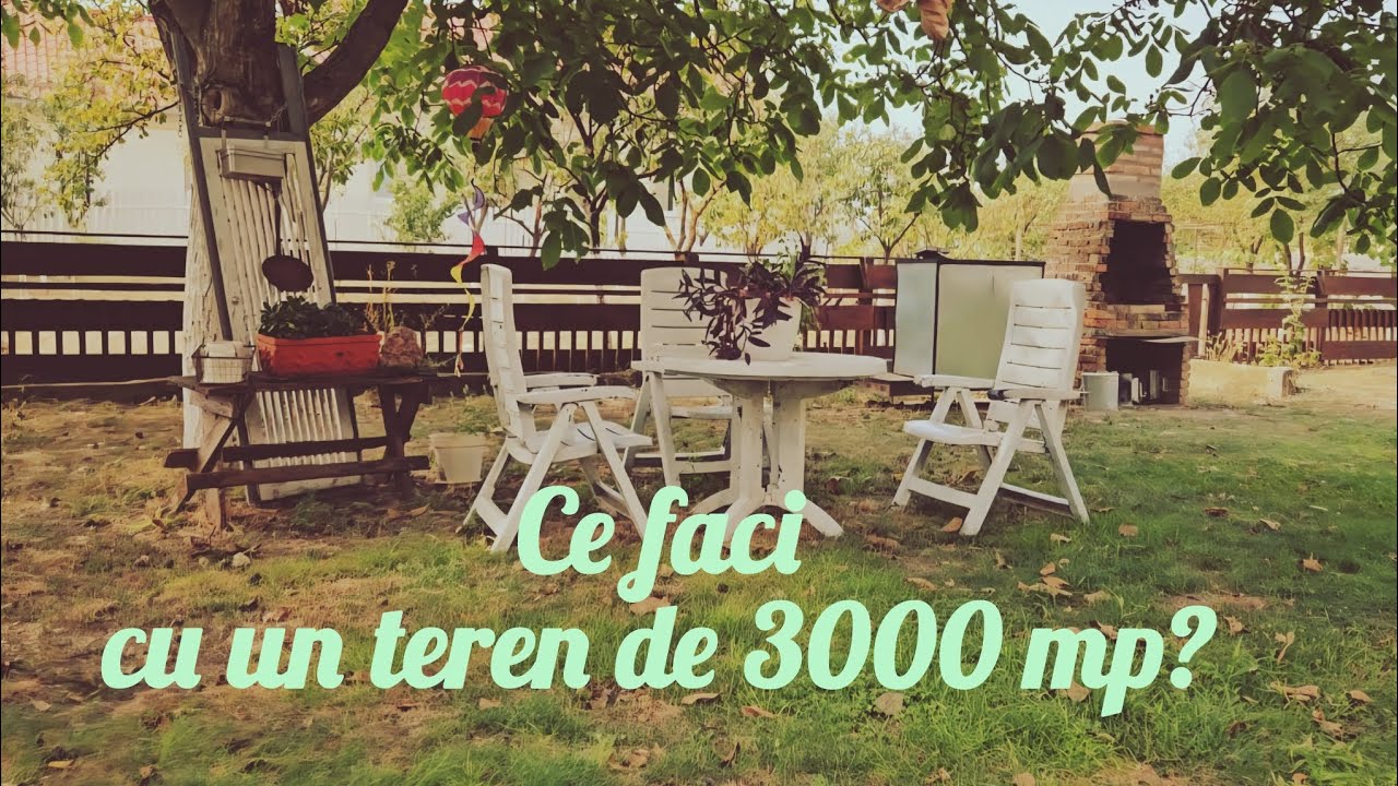 Cum imparti un teren de 3000 mp?/ Idee de gard de lemn / Doua retete de aperitive