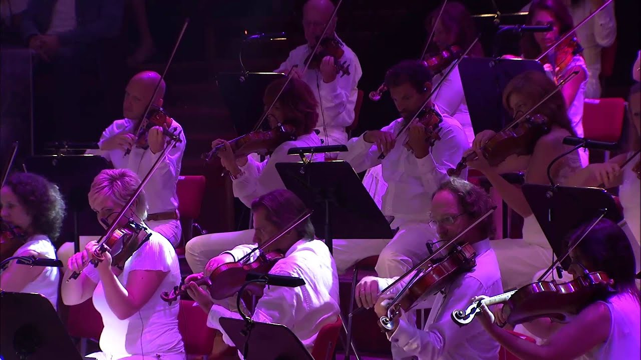 Don't give up the fight - Racoon & New Amsterdam Orchestra