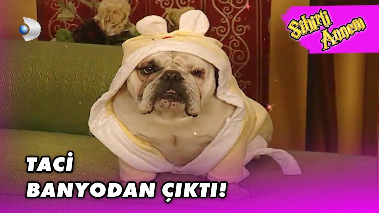 Taci'nin Banyo Keyfi! - Sihirli Annem 82. Bölüm