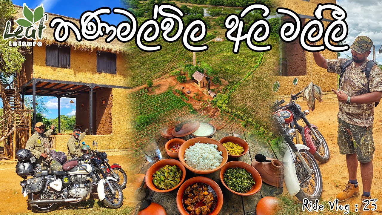 Leaf 🌿 Ali Malli Thanamalwila |තණමල්විලේ අලි මල්ලී 🐘එක්ක දවසක් 🏞 | Ride Vlog 23 | SRI LANKA 🍽