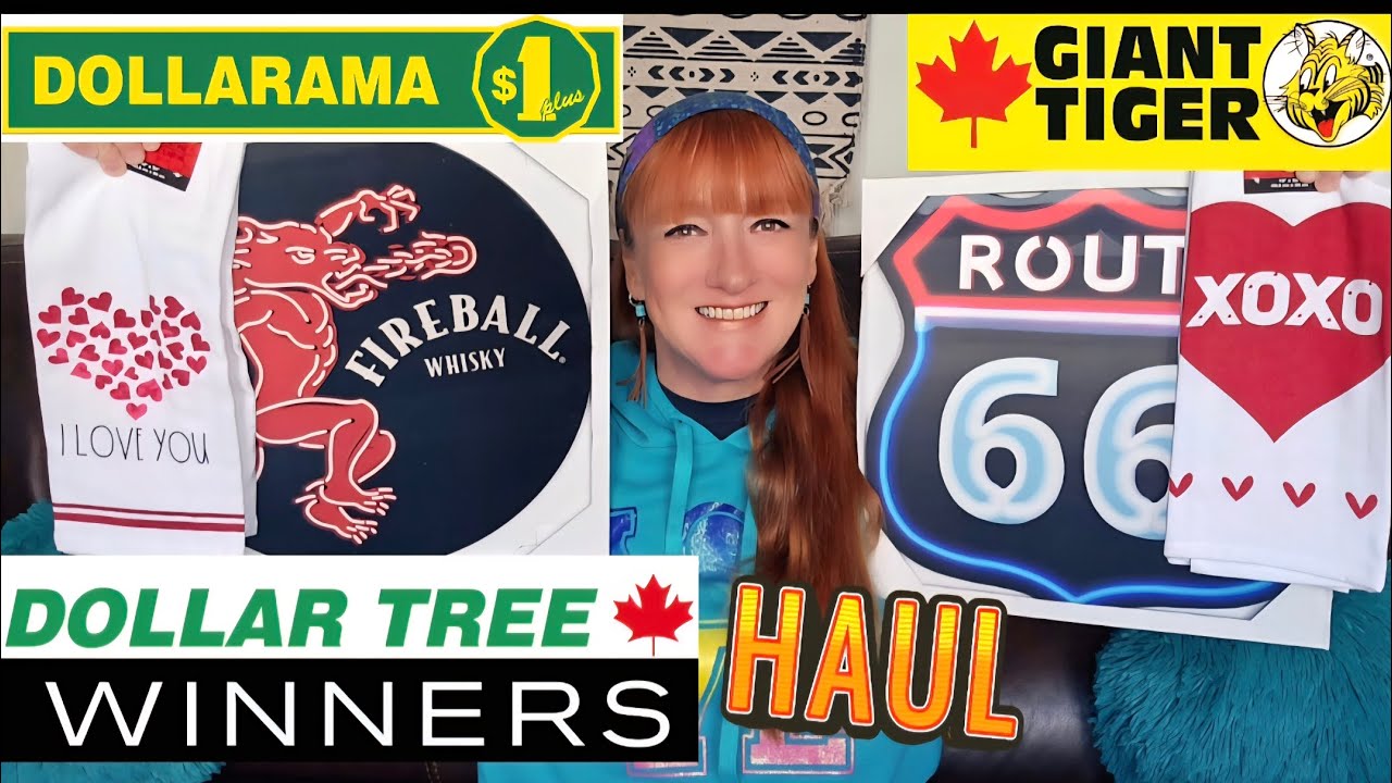 MULTI-STORE HAUL- DOLLARAMA | GIANT TIGER | DOLLAR TREE | WINNERS!!