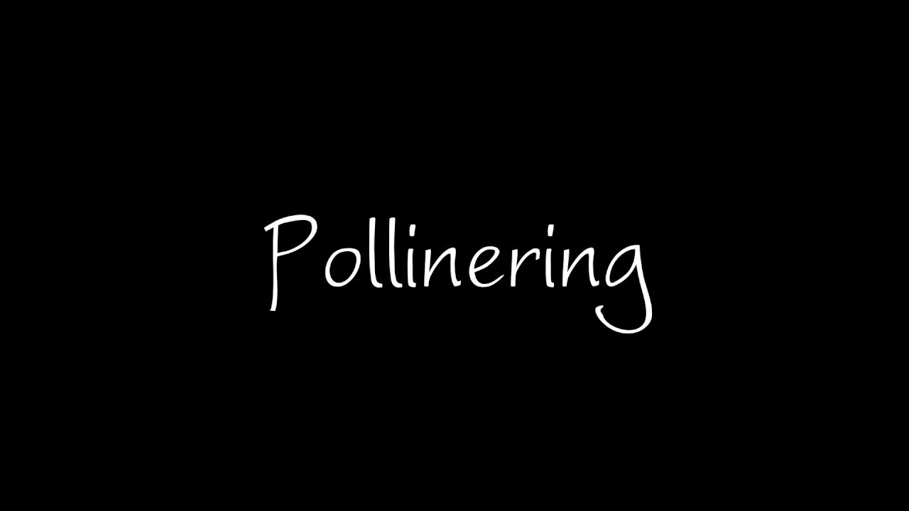 Pollinering