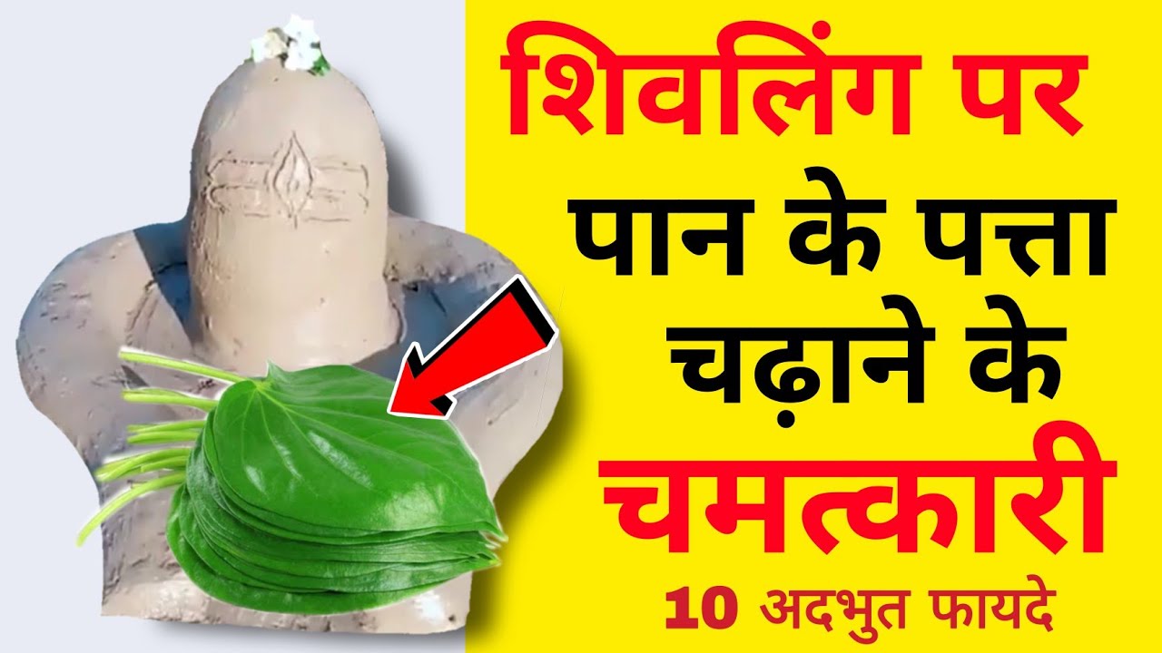 सावन में शिव जी पर एक पान का पत्ता चढ़ा दें कैसी भी हो मनोकामना सावन बीतने के पहले होगी पूरीShivling