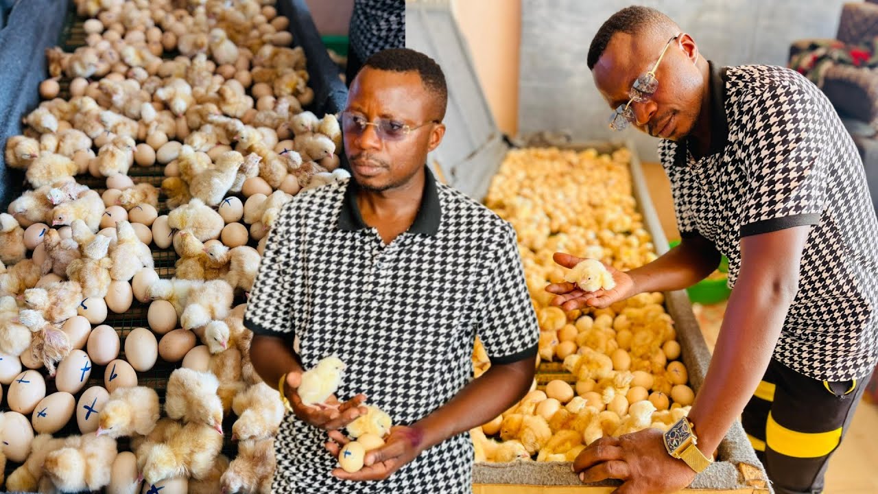 ABARUNDI BARASUBIJWE AKORA IMACHINI IBUNDIKIRA AMAGI IGIHUMBI 1000 ICARIMWE, NTAMUYAGANKUBA UKENEWE