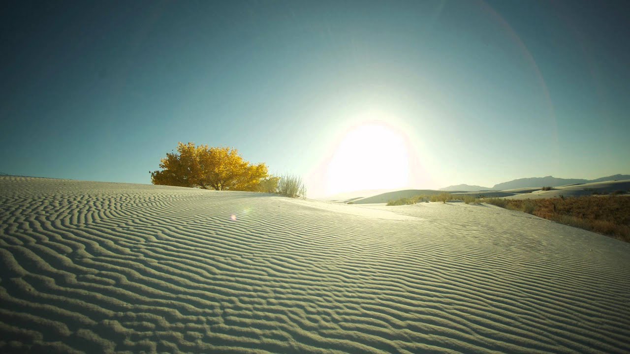Solar Fields - Sol