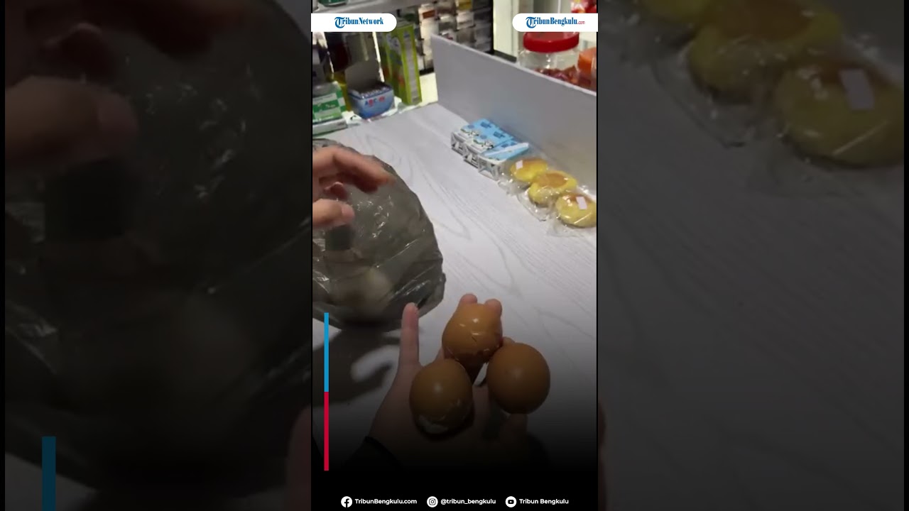 Viral MBG di Rejang Lebong Dibungkus Plastik, SPPG Sindang Dataran Akhirnya Beri Klarifikasi