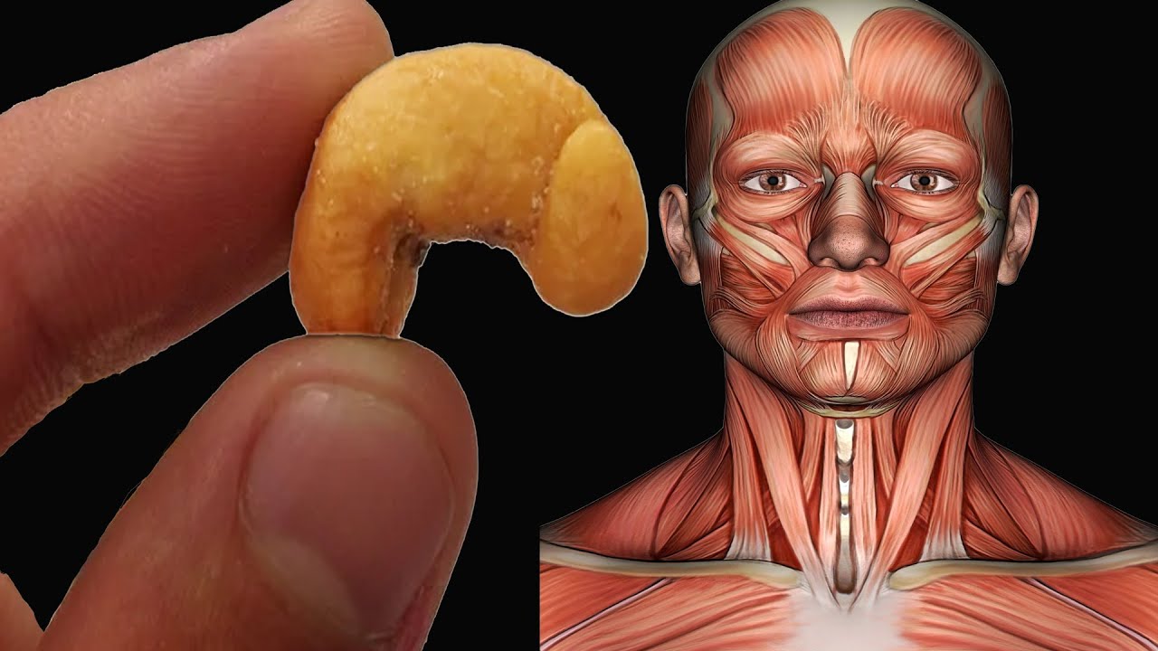 What Happens When You Start Eating 4 Cashews Every Day