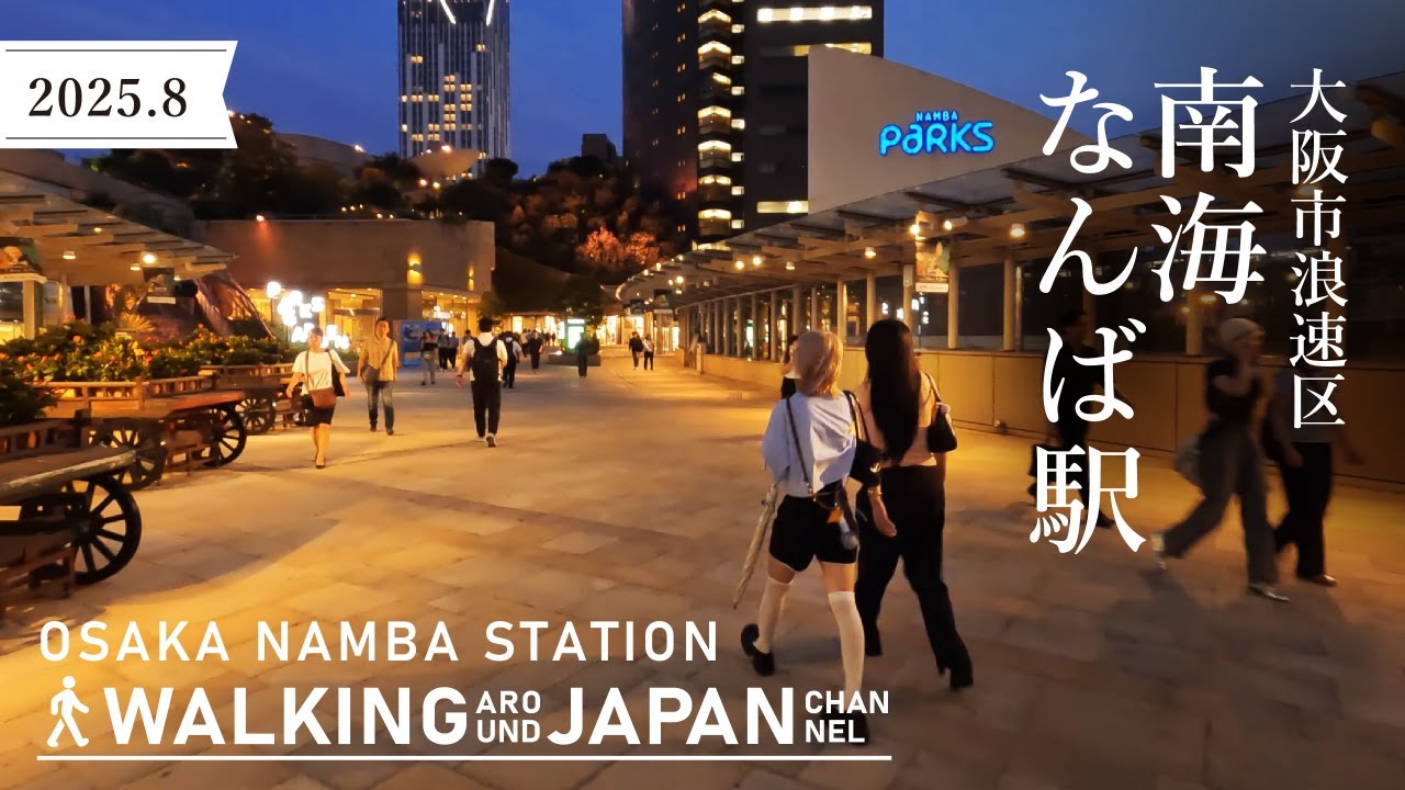 【4K/大阪散歩】大阪市浪速区南海なんば駅を街歩き Walking around Namba Station,Osaka,Japan,2025