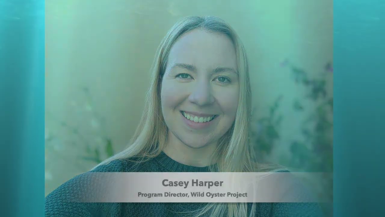 February 2026 Ocean Hoptimism: Restoring Abundance with Casey Harper, Wild Oyster Project