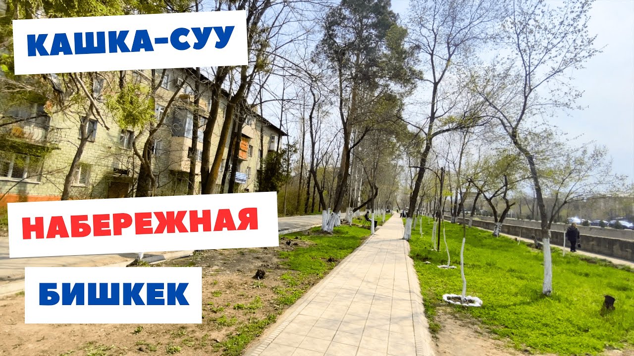 Набережная Бишкека 2024, Малдыбаева, 61 школа