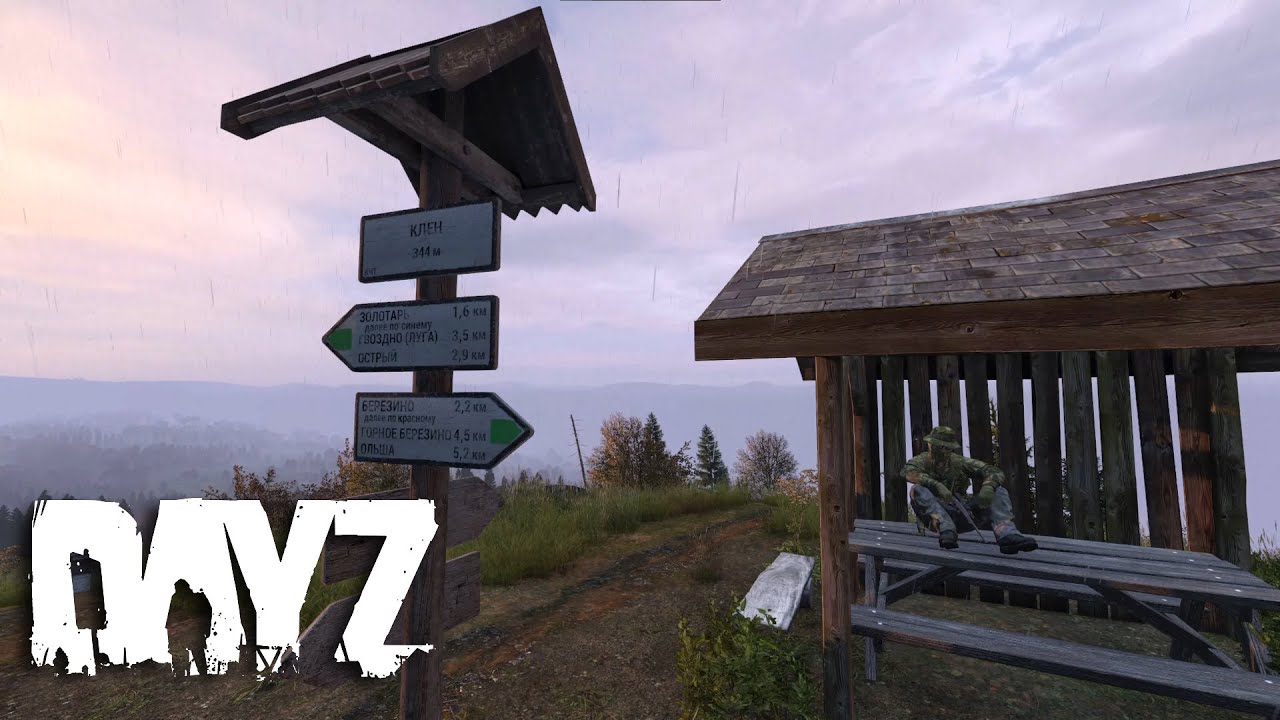1 hour of DayZ / Rain / Sounds
