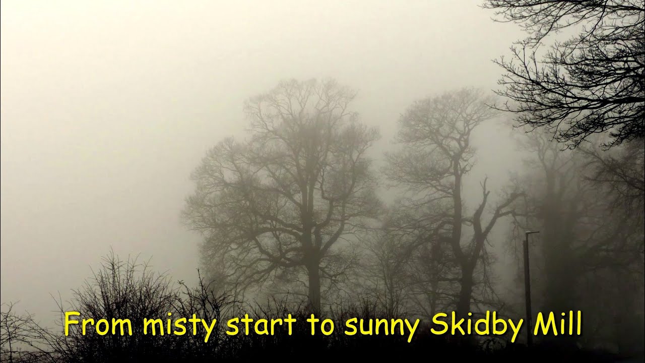 Misty walk to Skidby