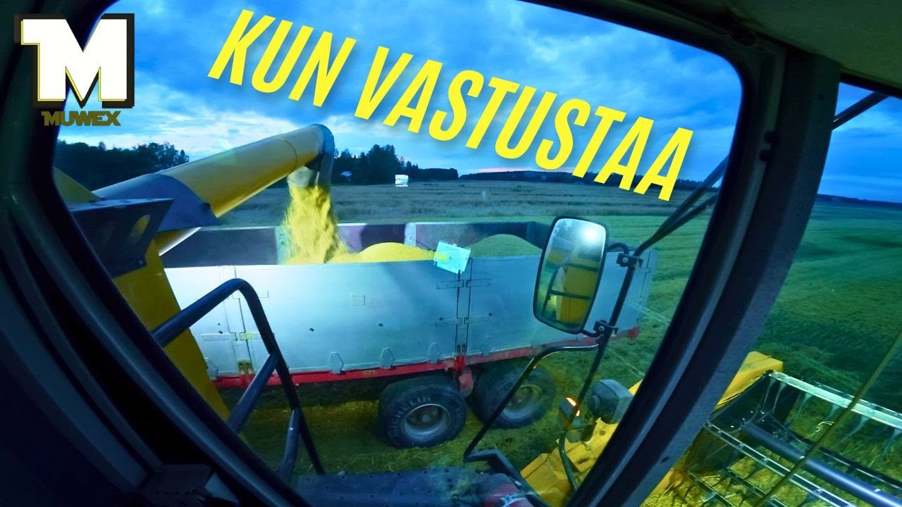 Välillä on taistelua se puinti - Ohran puinnit 2025