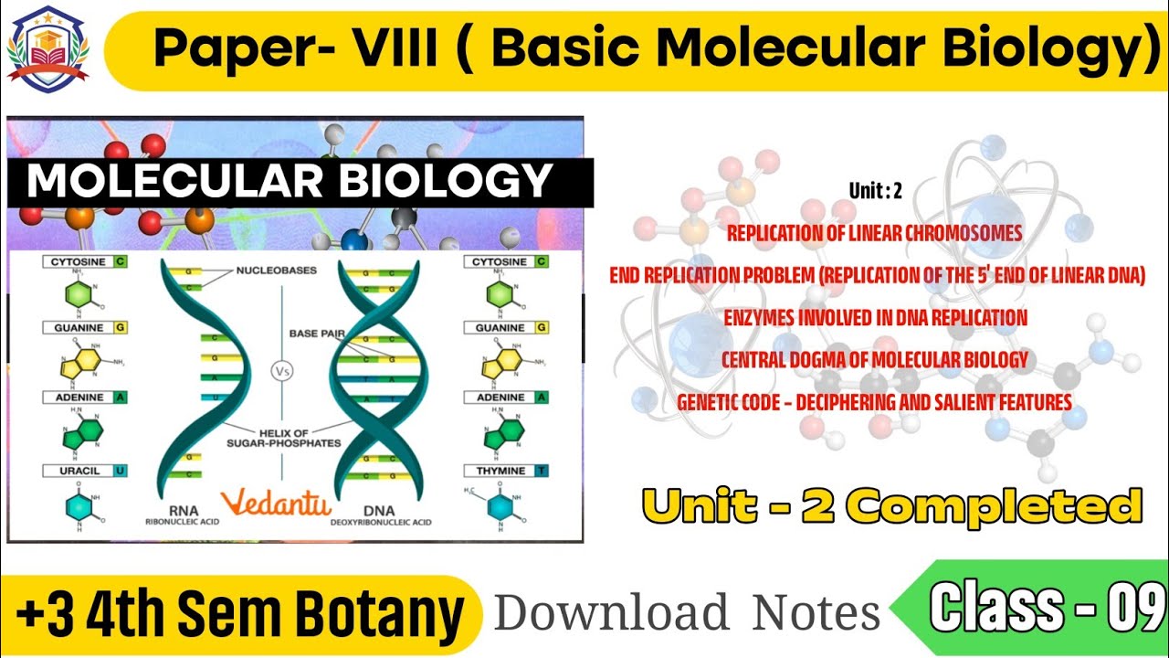 Replication of linear chromosome || +3 4th Sem Botany || Unit - 2 Completed || Download Notes 