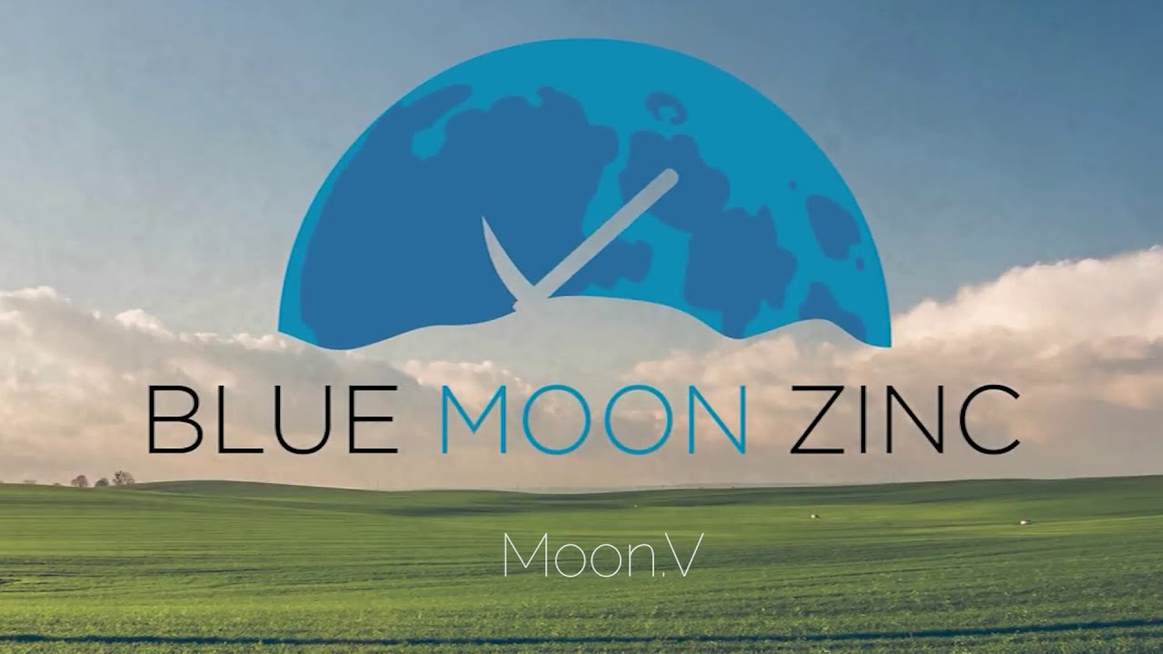 Blue Moon Mining (MOON.V) over the moon with highly prospective zinc project