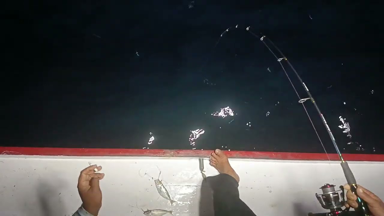 Kapten kapal meladeni perlawanan sengit ikan besar ruby sniper#mancinglautdalam#rubysniper #mancing