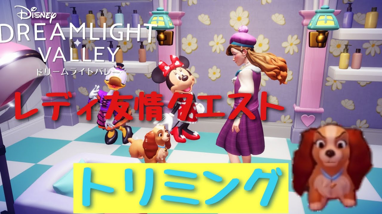 【ドリームライトバレー】レディ友情クエスト　トリミング【ドリバレ】